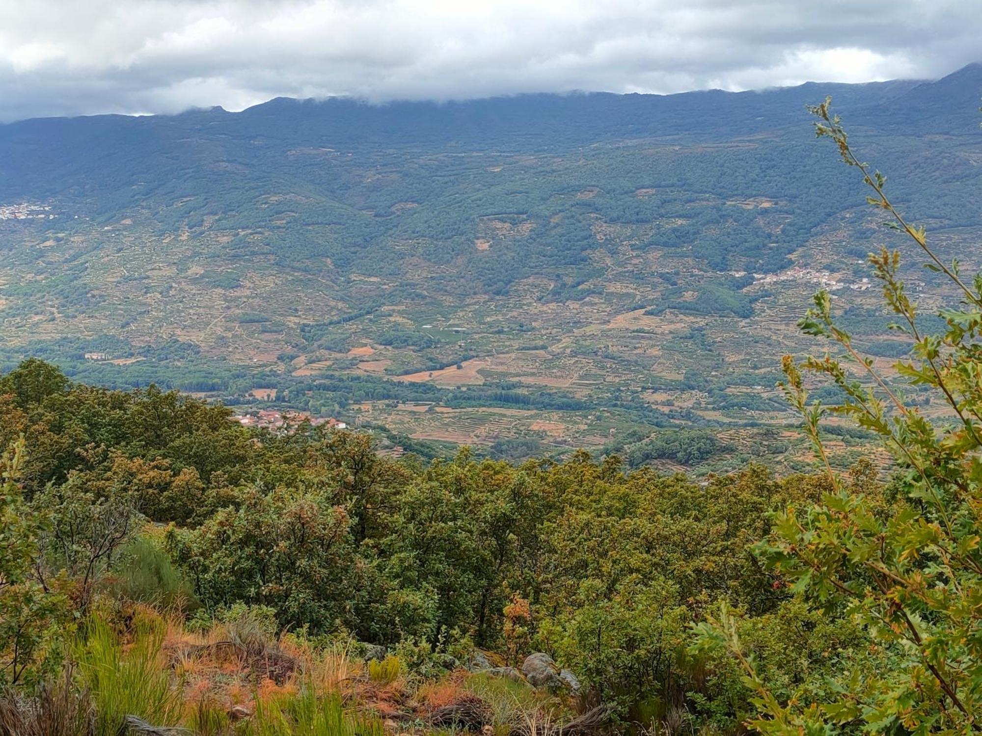 Acogedor Apartamento Valle Del Jerte Piornal Buitenkant foto